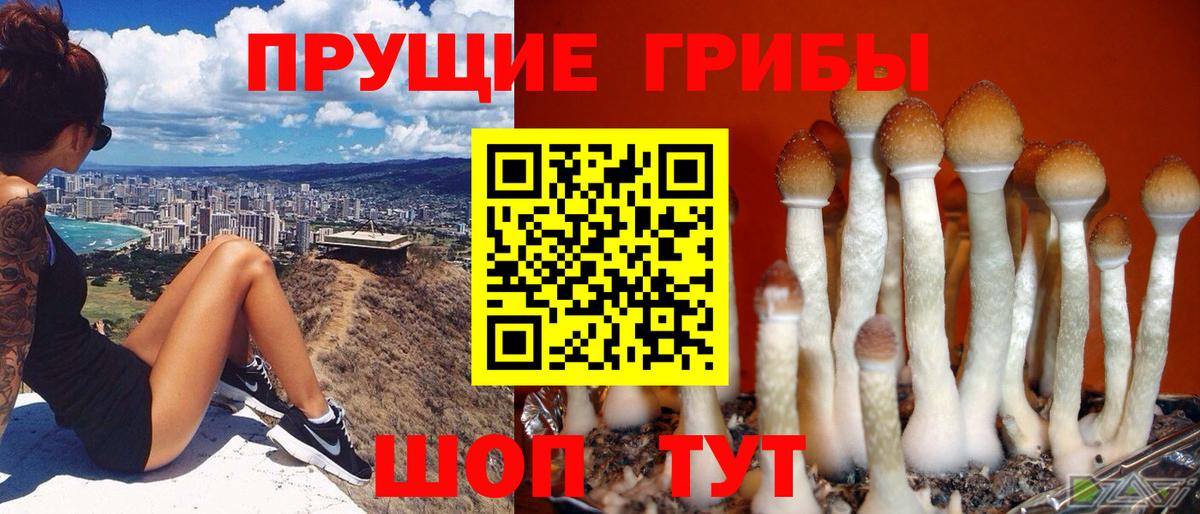 Псилоцибиновые грибы MAGIC MUSHROOMS  Псилоцибиновые грибы MAGIC MUSHROOMS  Вход с VPN  Похвистнево 